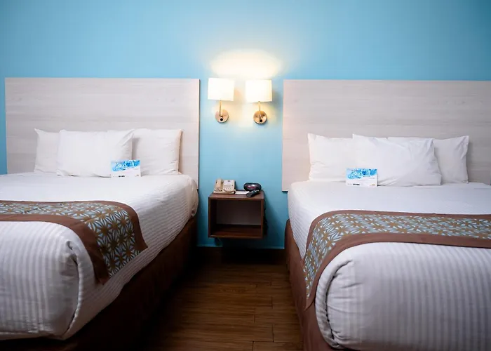 Hotel Comfort & Cabos 3*