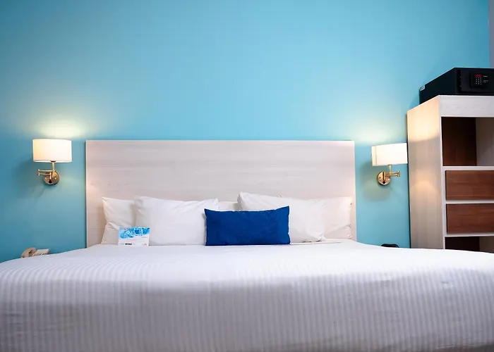 Hotel Comfort & Cabos Cabo San Lucas