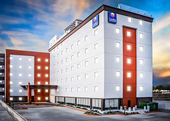 Hotel Comfort & Cabos Cabo San Lucas